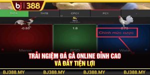 Trải Nghiệm Đá Gà Online BJ388 Đỉnh Cao Và Đầy Tiện Lợi