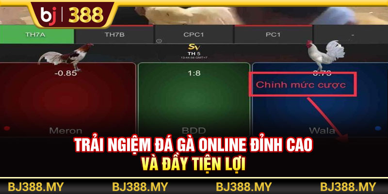 Trải Nghiệm Đá Gà Online BJ388 Đỉnh Cao Và Đầy Tiện Lợi