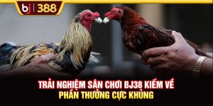Trải Nghiệm Sân Chơi BJ38 Kiếm Về Phần Thưởng Cực Khủng