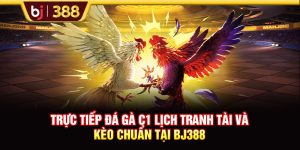 Trực Tiếp Đá Gà C1 Lịch Tranh Tài Và Kèo Chuẩn Tại BJ388