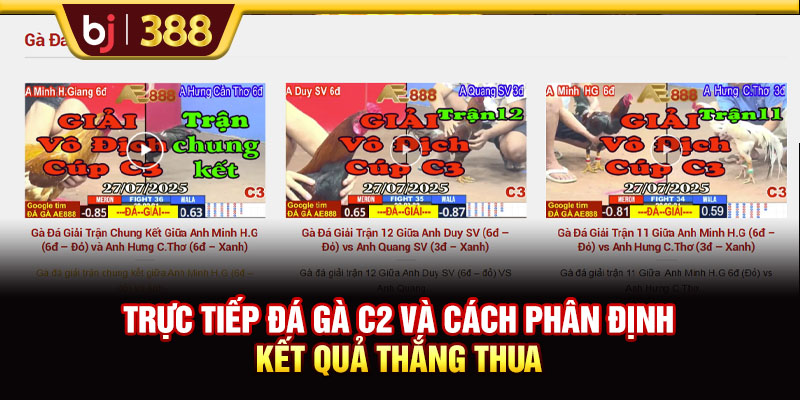 Trực tiếp đá gà C2 và cách phân định kết quả thắng thua