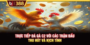 Trực Tiếp Đá Gà C2 Với Các Trận Đấu Thu Hút Và Kịch Tính
