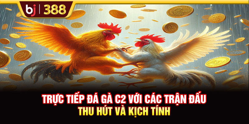 Trực Tiếp Đá Gà C2 Với Các Trận Đấu Thu Hút Và Kịch Tính