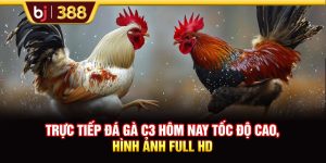 Trực Tiếp Đá Gà C3 Hôm Nay Tốc Độ Cao, Hình Ảnh Full HD