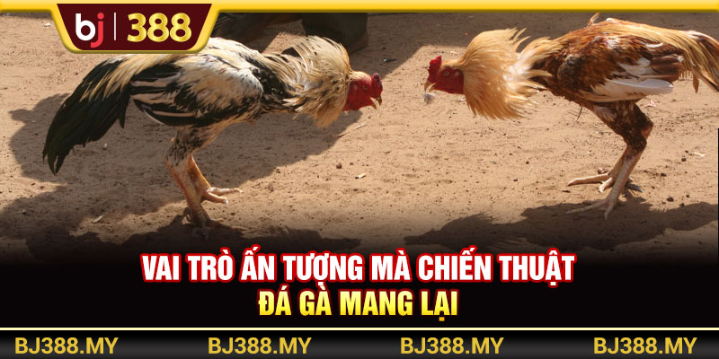 Vai trò ấn tượng mà chiến thuật đá gà mang lại