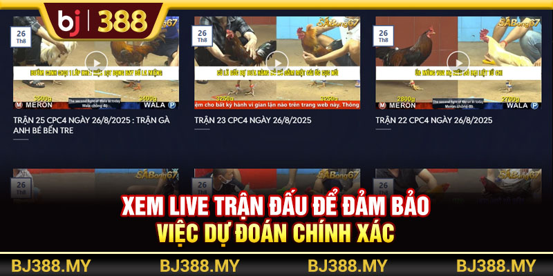 Xem live trận đấu để đảm bảo việc dự đoán chính xác