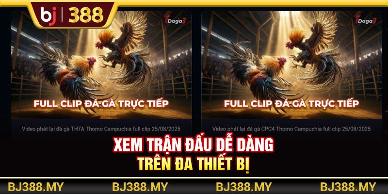 Xem trận đấu dễ dàng trên đa thiết bị