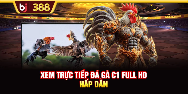 Xem trực tiếp đá gà C1 full HD hấp dẫn