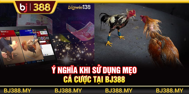 Ý nghĩa khi sử dụng mẹo cá cược tại BJ388